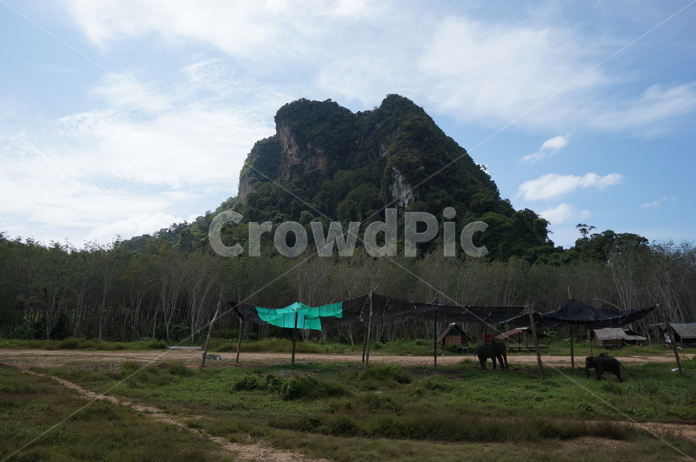 nature,자연,outdoors,산,야외