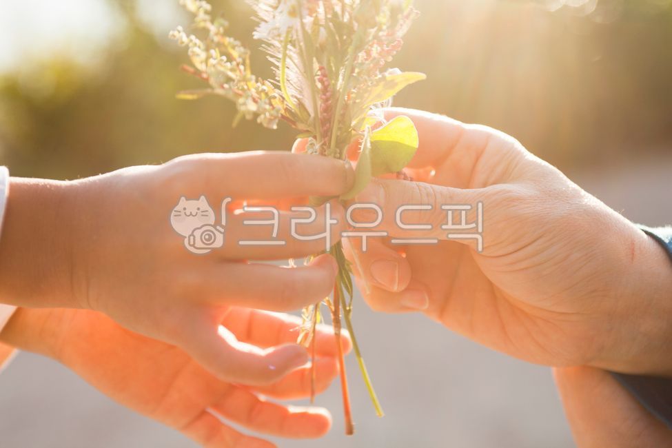 가을,들꽃,꽃다발,선물,할머니,손자,손녀,조부모,햇살,꽃,야생화,손가락,어린시절