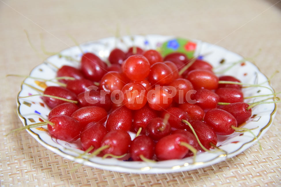 보리수,보리수열매,접시,빨간열매,열매,시콤달콤,fruits,redfruits,음식,식재료,요리,food,cook,meal,dishes,food reserves,과일,열매,fruit