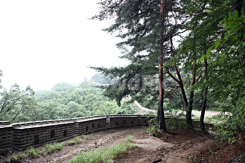남한산성,성,성곽,숲,숲길,길,둘레길,벽,담,돌담,풍경,여름