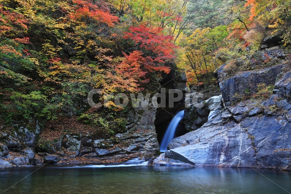 water,물,nature,자연,outdoors,옥외,waterfall,폭포,tree,나무,plant,식물,leaf,잎,stream,흐름,경치,경관,풍경,계곡,가을,만추,추색,강원도,인제,상남,용소폭포,상남용소폭포,상남가을,가을,계절,fall,autumn,season