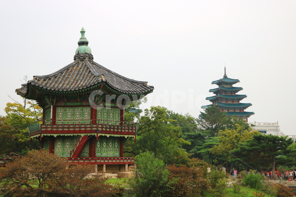 경복궁,팔각정,연못,광화문,나무,연잎,물,서울,한국전통,한국문화,korean traditional,korean culture,랜드마크,landmark,tourist attraction,한국랜드마크,한국관광지,한국명소,korea landmark,korea tourist attraction