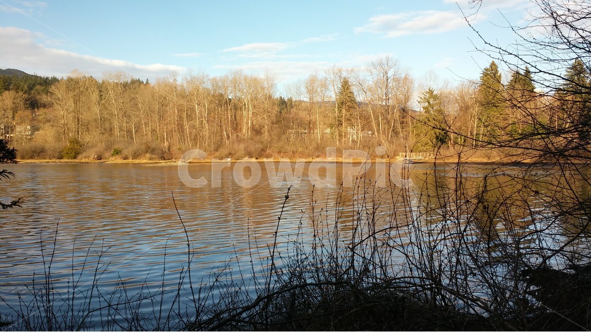 캐나다,호수,canada,park,nature,공원,파크,자연,경치,갈대,가을,하늘,구름,맑음,잔잔한,물,나무,배경,갈색,scene,view,cloud,clear,sky,water,tree,brown,fall,autumn,가을,계절,fall,autumn,season,자연,풍경,nature,landscape,outdoors,옥외
