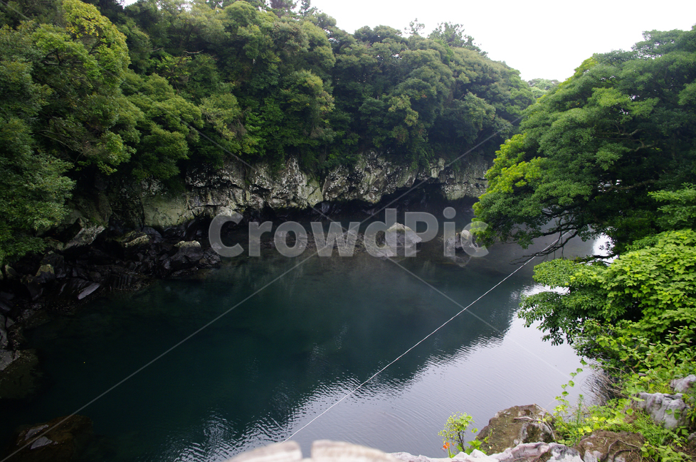 제주,쇠소깍,풍경,하천,나무,식물,자연,풍경,nature,landscape,한국자연풍경,한국자연경관,korea nature landscape,제주도,jeju,jeju island,water,물,outdoors,옥외