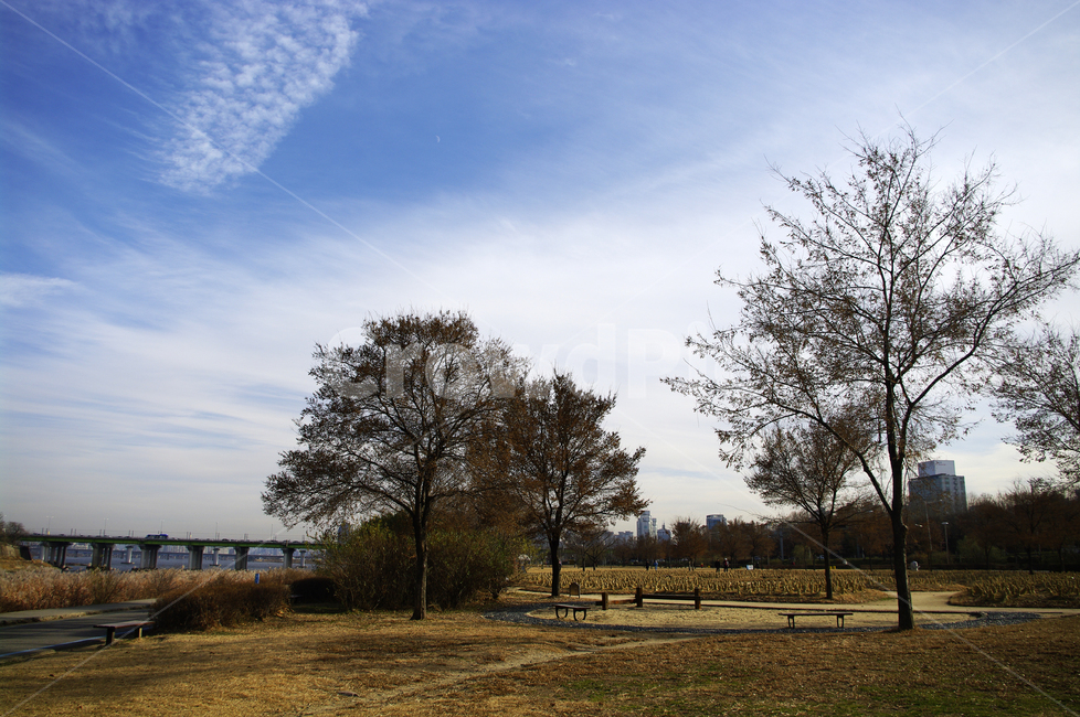 서울,하늘,구름,풍경,공원,겨울,계절,winter,season,도시,풍경,city,landscape,한국도시풍경,한국도시경관,korea cityscape,nature,자연,outdoors,옥외