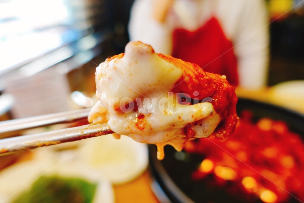 닭갈비,음식,한국음식,치즈퐁듀닭갈비,닭요리,음식,식재료,요리,food,cook,meal,dishes,food reserves,육류,고기,meat