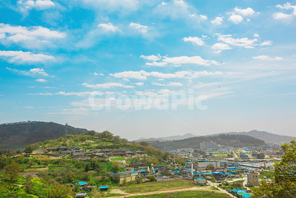 유채꽃,청보리,학원농장,고창,야외,시골,마을,풍경,landscape,country,rural,town