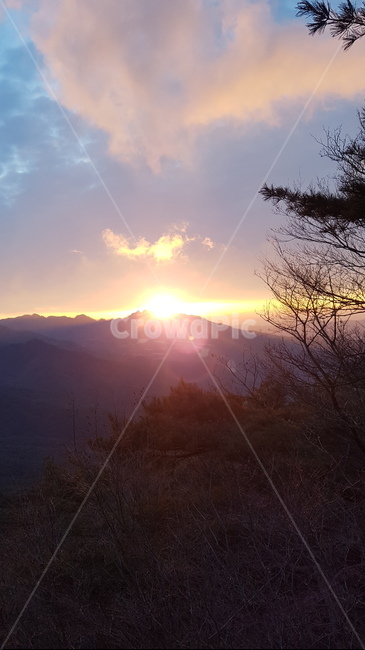 팔공산,일출,새해,새해일출,태양,해,산일출,새해첫일출,산,자연,풍경,해빛,강렬한,새출발,새해다짐,하늘빛,해야떠라,새해소망,새해빛,빛,빛나라
