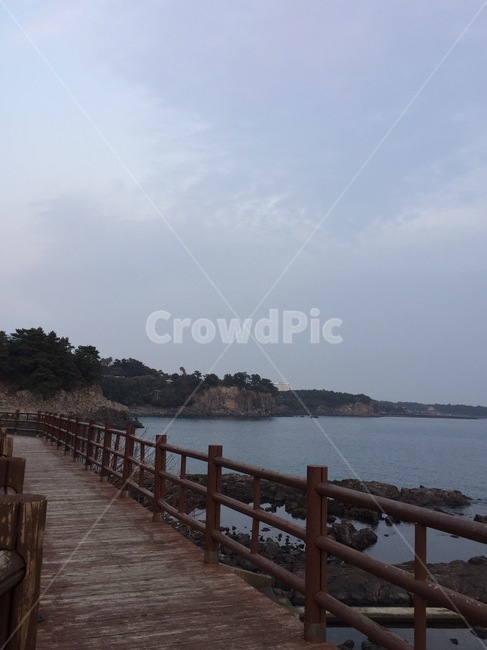 자연,다리,제주도,산책,바닷가