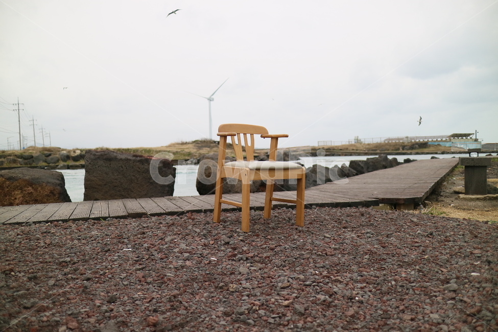 chair,의자,furniture,가구,animal,새,bird,동물,바다,sea
