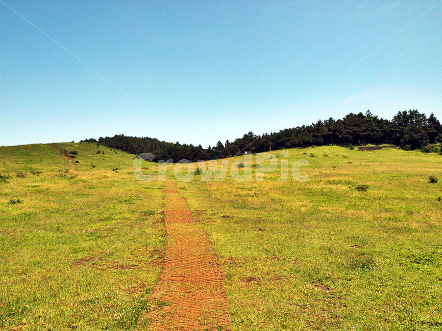 두산봉,오름,제주,올레1코스,자연,들,풀,나무,자연,풍경,nature,landscape,한국자연풍경,한국자연경관,korea nature landscape,제주도,jeju,jeju island,field,outdoors,옥외,grassland,목초지