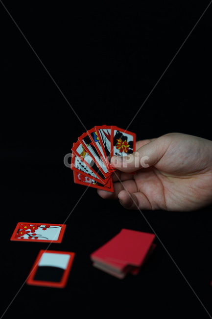화투,화투패,고스톱,도박,게임,놀이,손가락,손동작,노름,하나후다,맞고,섯다,화투장,사람,인물,인간,human,person,신체일부,몸,body,게임,오락,놀이,game,play
