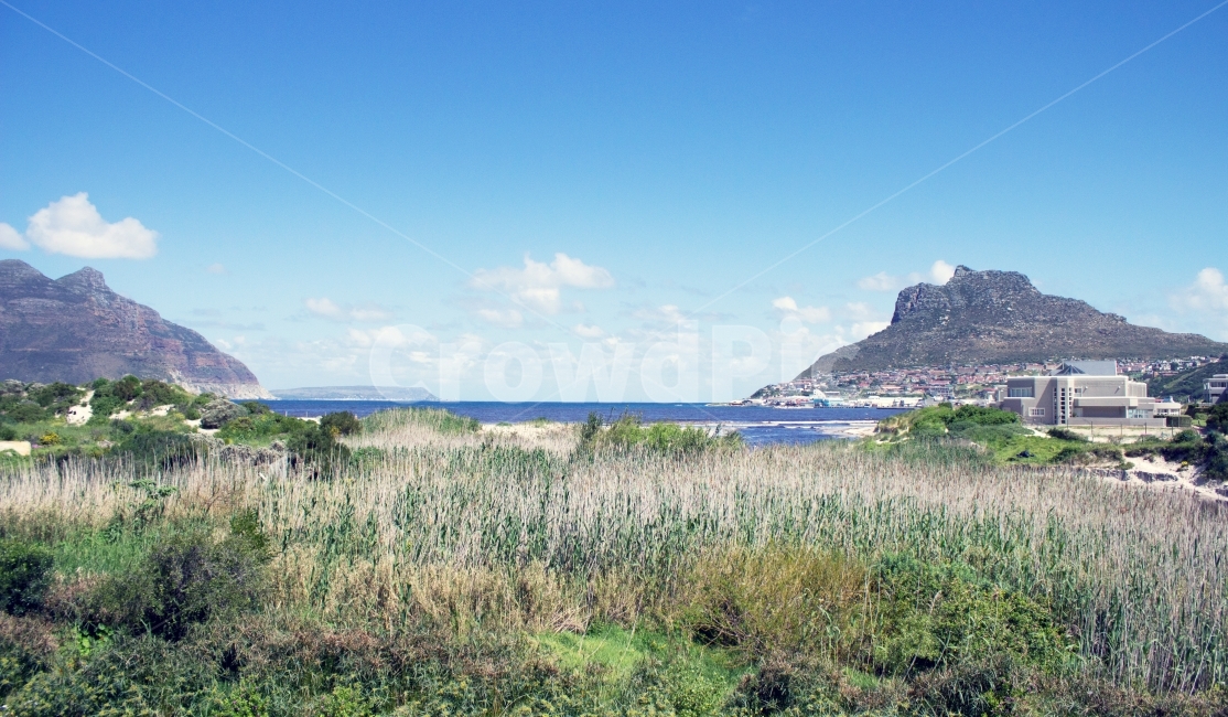 산,풀,꽃,하늘,구름,바다,풍경,자연,자연,풍경,nature,landscape,해외,외국,세계,foreign,oversea,world,세계자연풍경,해외자연풍경,외국자연풍경,world nature landscape,outdoors,옥외