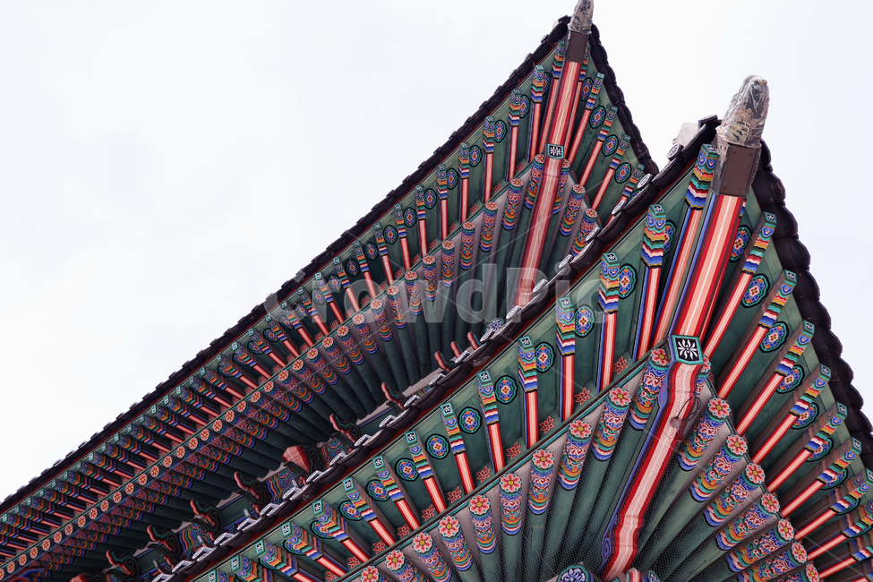 koreapalace,Gyeongbokgung,gyeongbokgungpalace,Palace,koreatour,seoultour