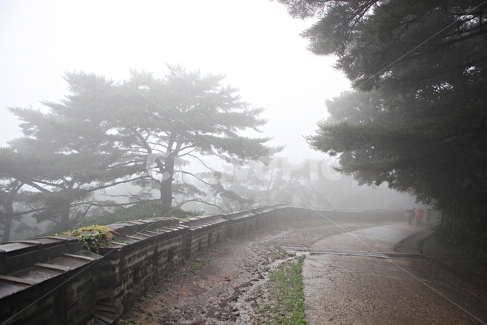 남한산성,성,성곽,길,둘레길,안개,담,돌담,숲,숲길