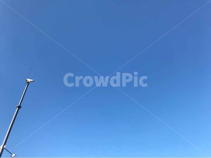 하늘,풍경,자연,가로등,파랑,자연,풍경,nature,landscape,animal,동물,bird,새,flying,나는