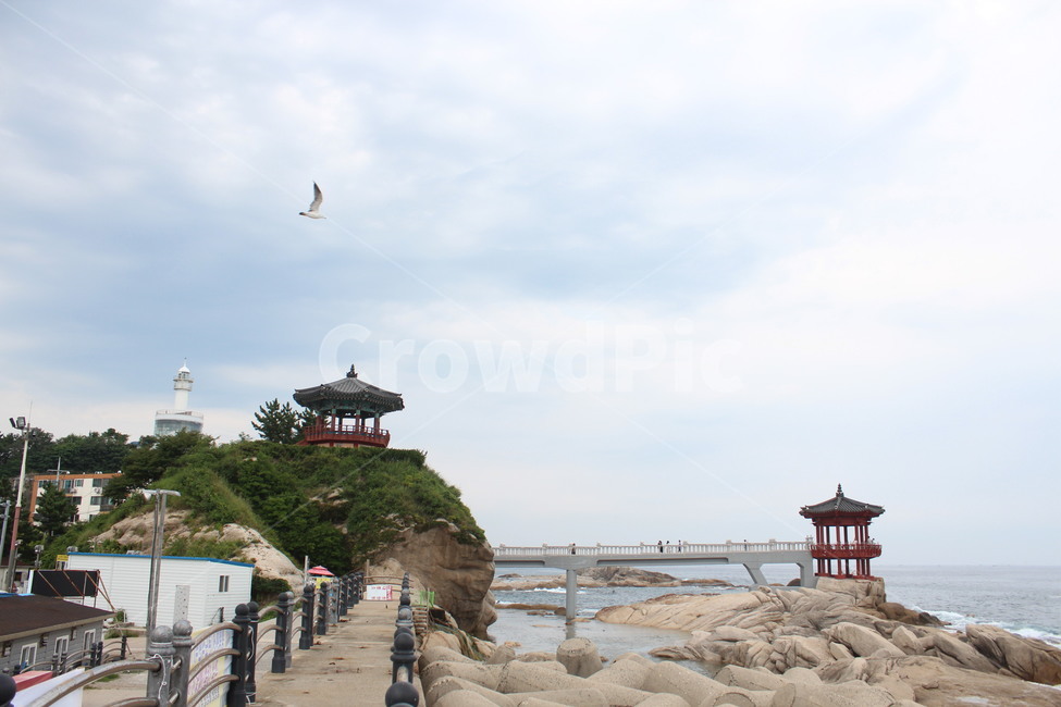 animal,bird,동물,building,건물,건축물,전통