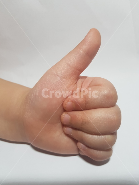 손,좋아요,최고,대박,따봉,엄지척,신체일부,몸,body,손,제스처,표시,손짓,표현,gesture,hand,sign,expression