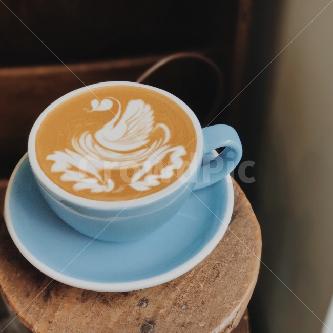 백조,아침,햇살,여유,쉼,커피,카페,coffee,cafe,감성,sensible,feeling