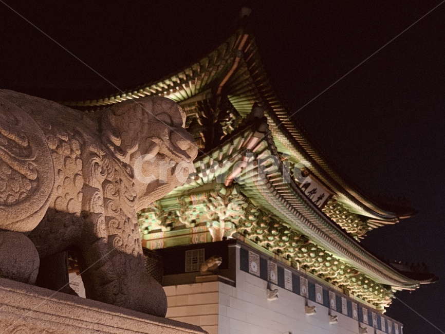 광화문,해태,고궁,야경,고궁야경