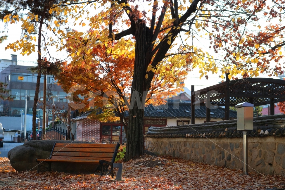 가을,공원,여유,산책,단풍,의자,나무,자연,아름다운,낙엽,기와,휴식,휴일,휴가,가을,계절,fall,autumn,season,식물,자연,plants,nature,나무,trees,wood,tree,plant,tree trunk,나무 줄기,furniture,가구,bench,벤치