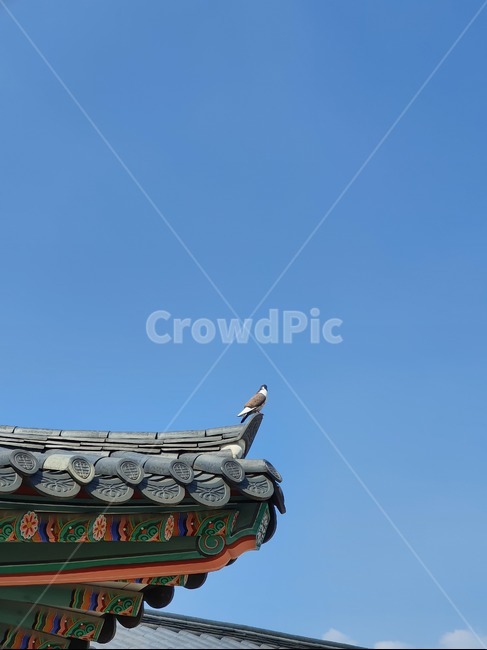 경복궁,경희루,왕,한국,전통,궁,한국의전통