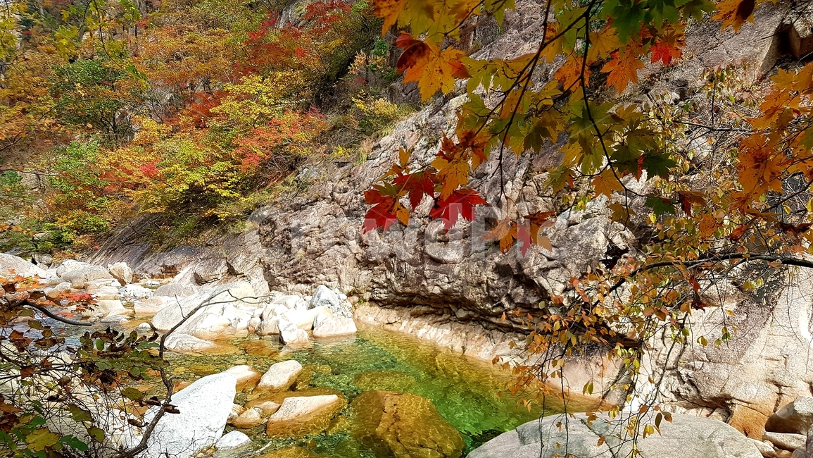 설악산,국립공원,가을,단풍,천불동계곡,옥빛,담소,가을,계절,fall,autumn,season,자연,풍경,nature,landscape,한국자연풍경,한국자연경관,korea nature landscape,leaf,잎,plant,식물,tree,나무
