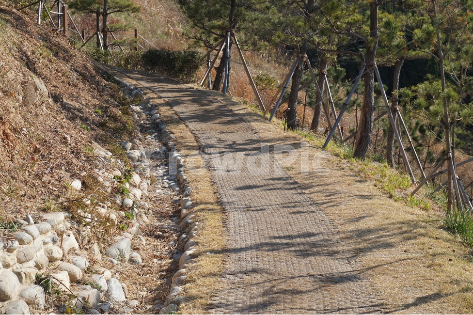 겨울길,길,공원,시골길,산책길,자연,풍경,nature,landscape,한국자연풍경,한국자연경관,korea nature landscape,dirt road,흙길,gravel,자갈,road,도로