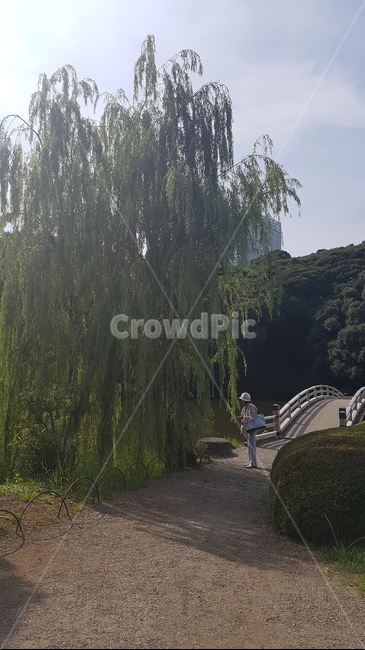 plant,식물,tree,나무,person,사람,human,인간