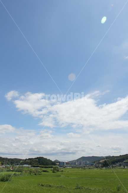 하늘,구름,풍경,흰구름,뭉게구름,파랑,블루,파란색,산,언덕,녹색,그린,초록색,숲,한국,대한민국,논,농촌,농업,풀,낮,자연,농경지,여름,자연,풍경,nature,landscape,outdoors,옥외