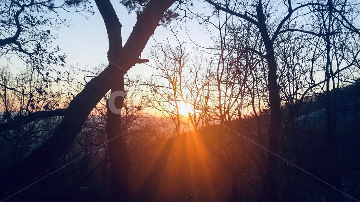 청계산,일출,태양,새벽,겨울산,차가운