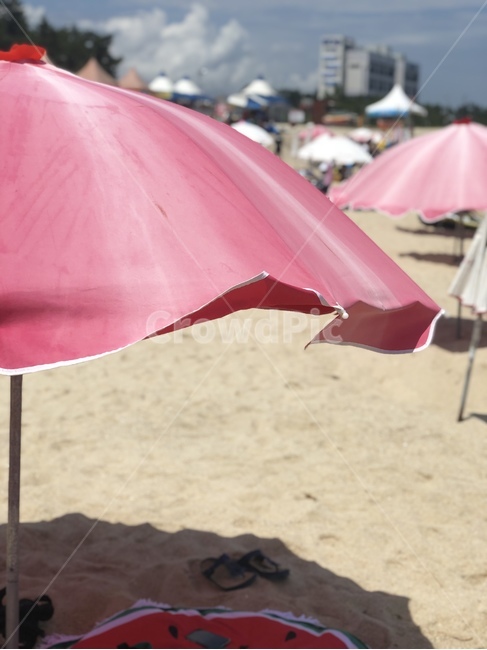 바다,바다풍경,해수욕장,sea,canopy,천개,umbrella,우산
