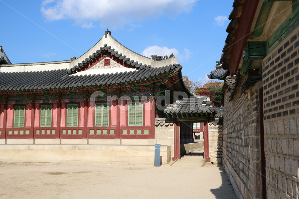 서울,창덕궁,궁궐,지붕,전통,풍경,한국전통,한국문화,korean traditional,korean culture,랜드마크,landmark,tourist attraction,한국랜드마크,한국관광지,한국명소,korea landmark,korea tourist attraction,건축물,건물외관,exterior,building,structure,architecture,construction