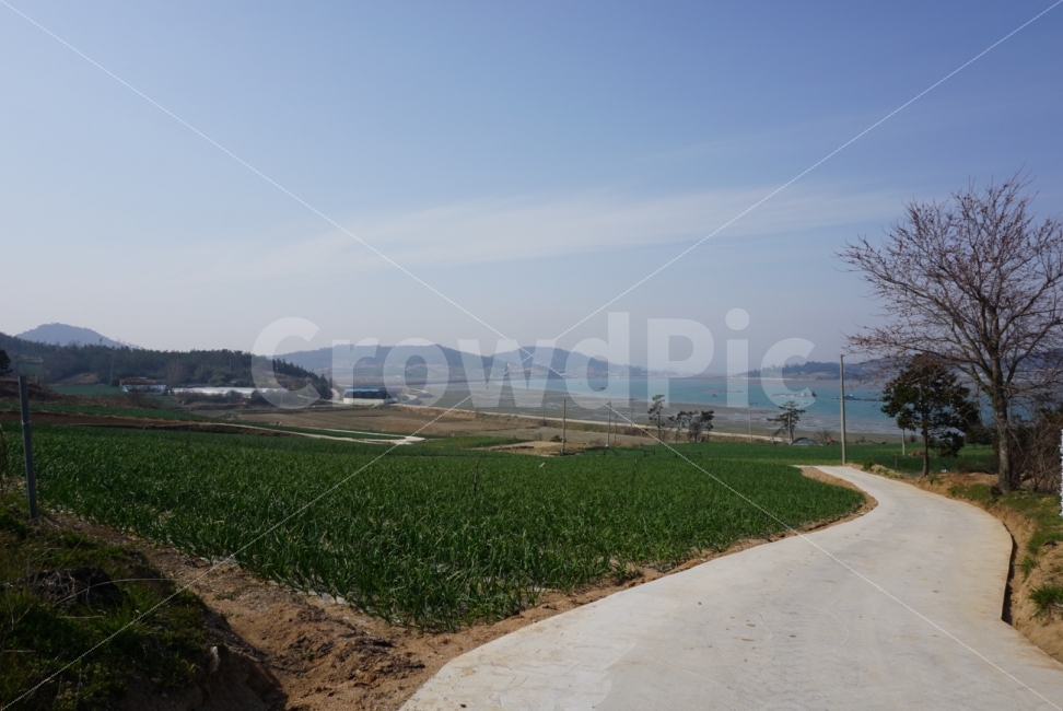신안,지도,시골길,날씨좋음,썰물,밭,자연,산과바다,자연,풍경,nature,landscape,시골,마을,country,rural,town,outdoors,옥외,road,도로