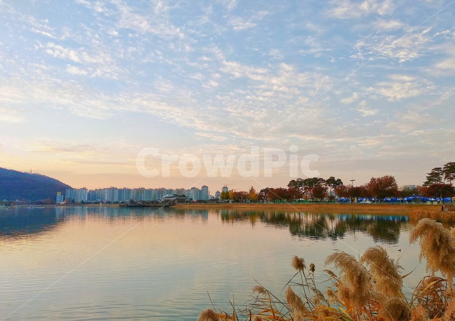 수성못,water,호수,노을,구름,갈대,nature,outdoors,자연,잔잔한