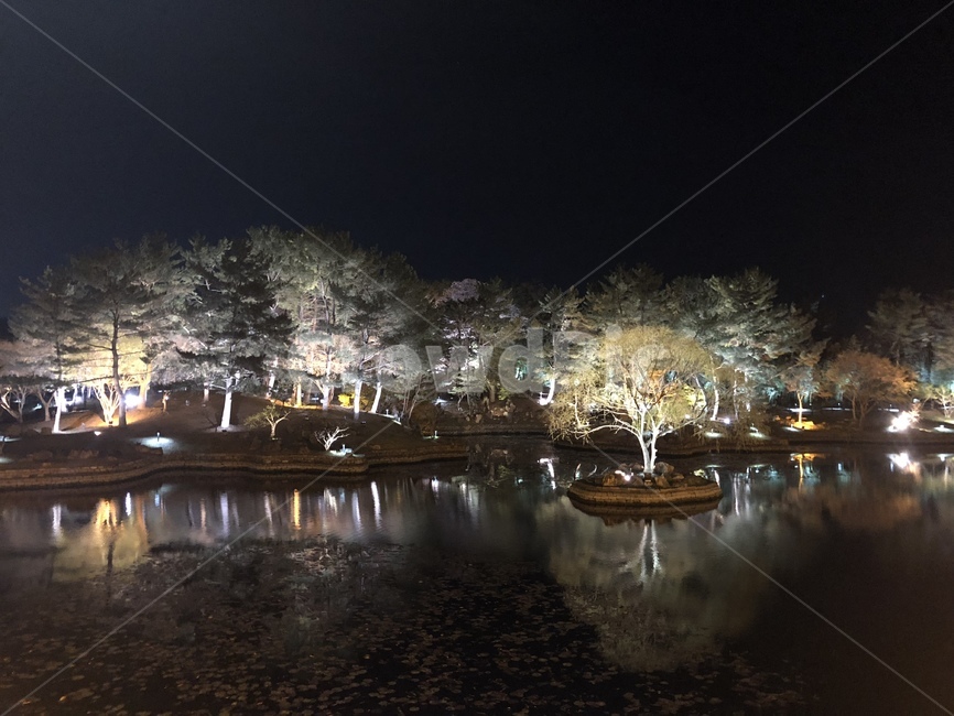 안압지,야경,자연,경치,경주