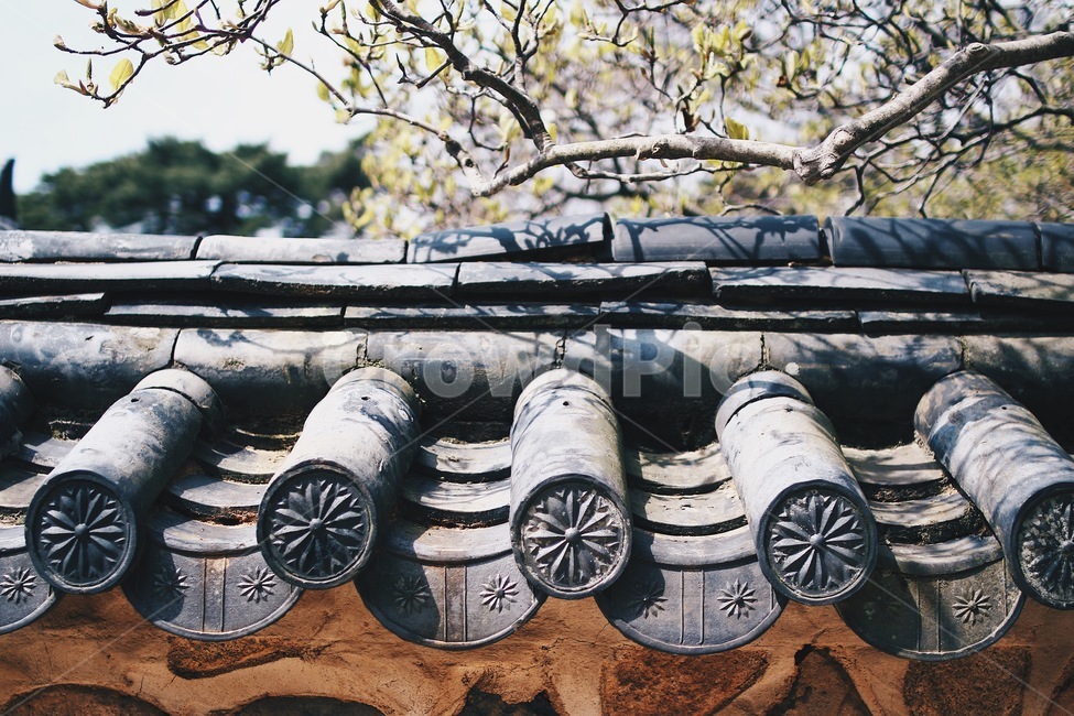 고택,담장,담벼락,전통,기와,한국전통,한국문화,korean traditional,korean culture,건축물,건물외관,exterior,building,structure,architecture,construction