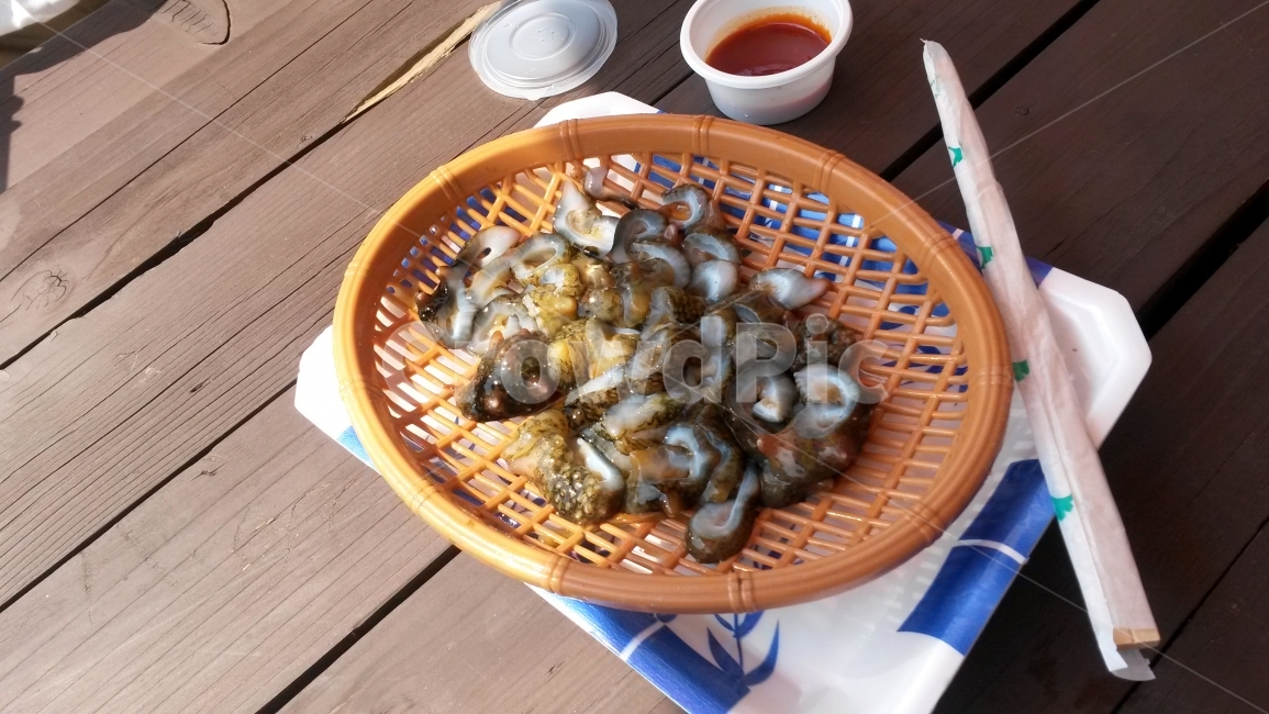 해삼,해산물,식당,테이블,신선한,음식,식재료,요리,food,cook,meal,dishes,food reserves,수산물,해산물,fishery products,seafood