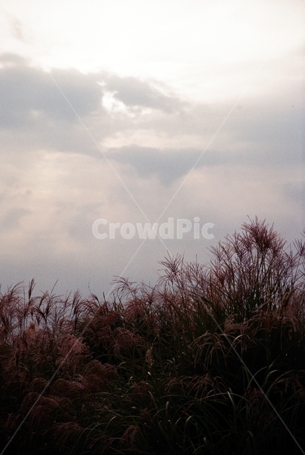 풍경,빈티지,자연,배경,하늘,자연,풍경,nature,landscape,weather,날씨,outdoors,옥외