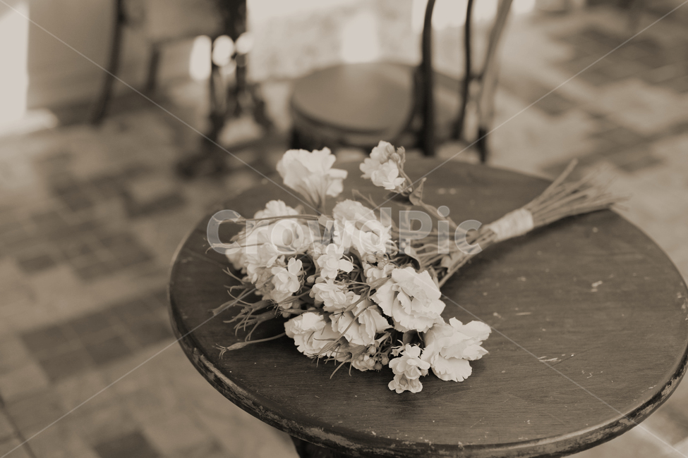 빈티지,감성,꽃,flower,엔틱,꽃,flower,감성,sensible,feeling,흑백,모노톤,monochrome,black and white