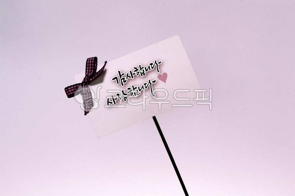 감사,사랑,감사합니다,사랑합니다,캘리그라피,손글씨,리본,선물,가정의달,calligraphy