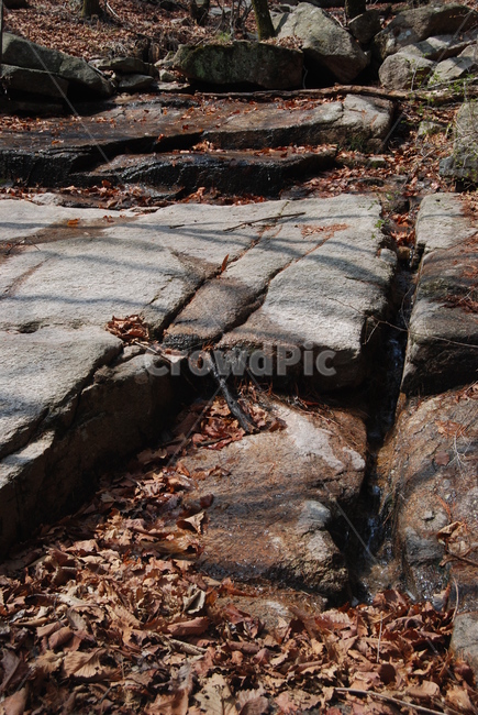 자연,nature,돌,stone,korea,tree,자연,풍경,nature,landscape,ground,바닥,flagstone,판석