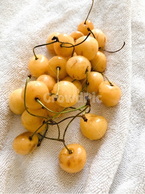 fruit,과일,노란체리,체리,음식