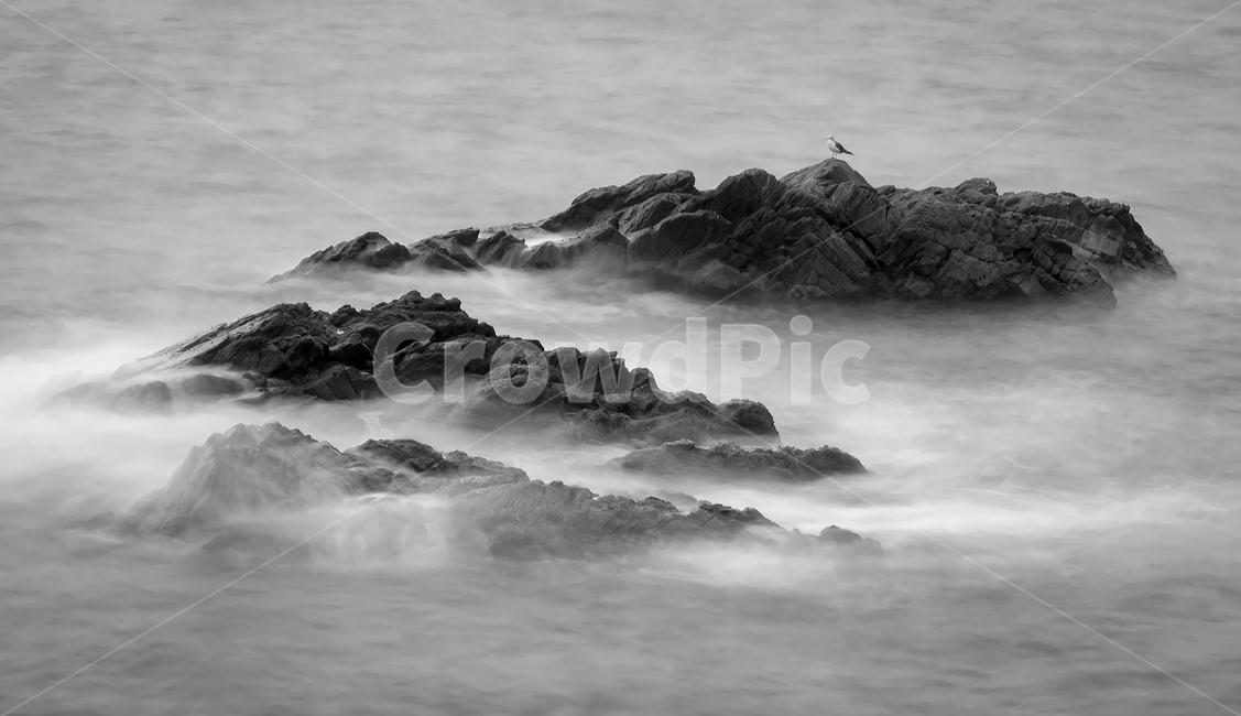 바다,갯바위,갈매기,장노출,흑백,자연,풍경,nature,landscape,한국자연풍경,한국자연경관,korea nature landscape,흑백,모노톤,monochrome,black and white,outdoors,옥외