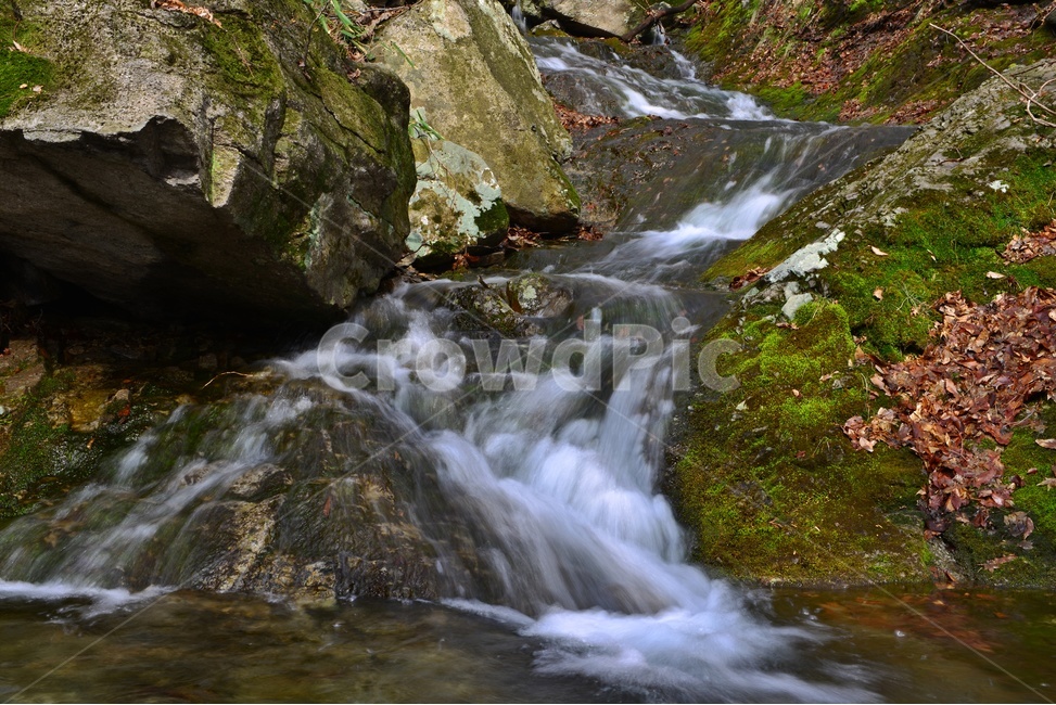 water,물,nature,자연,outdoors,옥외,낙엽,소폭포,이끼,계곡,바위,물흐름