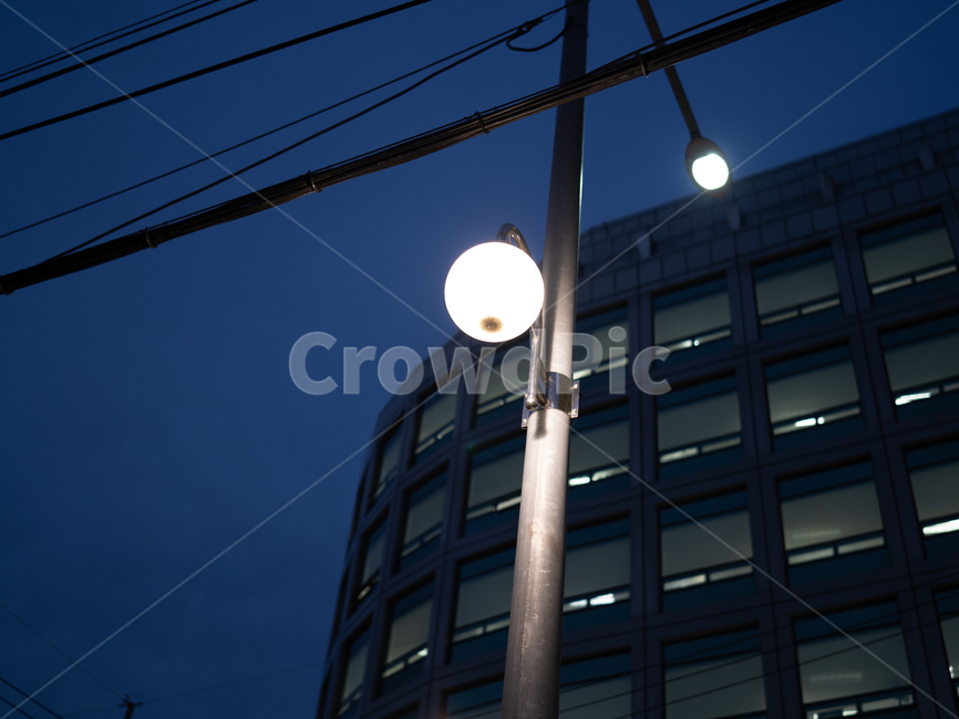 가로등,회사앞,전구,하얀전구,퇴근길,에너지산업,energy industry