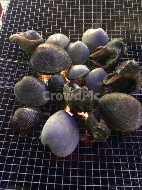 조개구이,화로,바베큐,캠핑,구이,조개,소라,가리비,캠핑장,저녁,여행