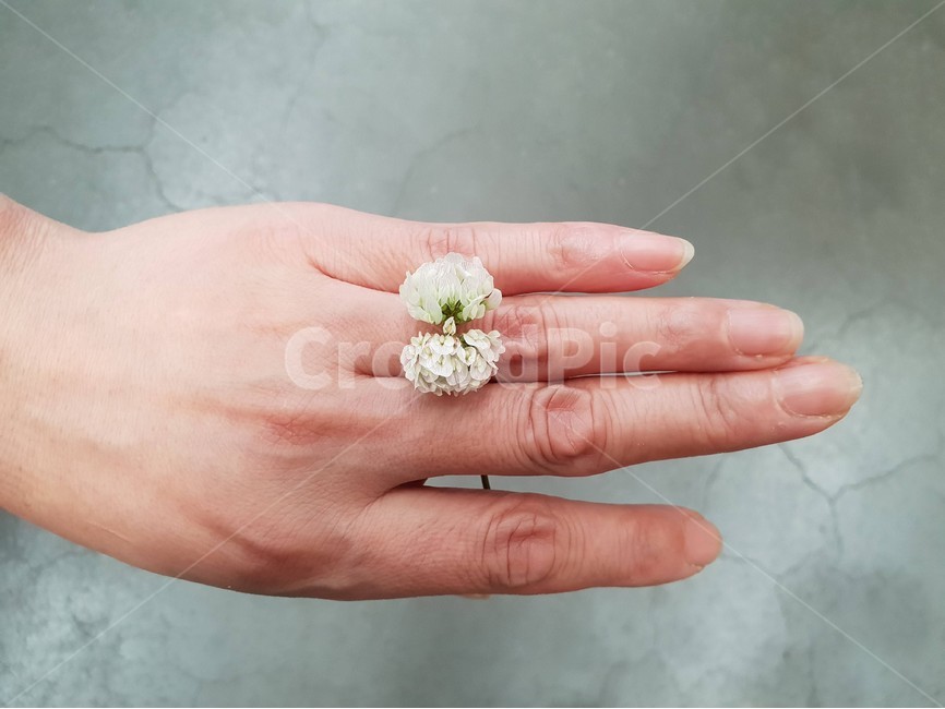 손,여자,신체,사람,꽃반지,약속,감성,손톱,여름,꽃,flower,사람,인물,인간,human,person,신체일부,몸,body