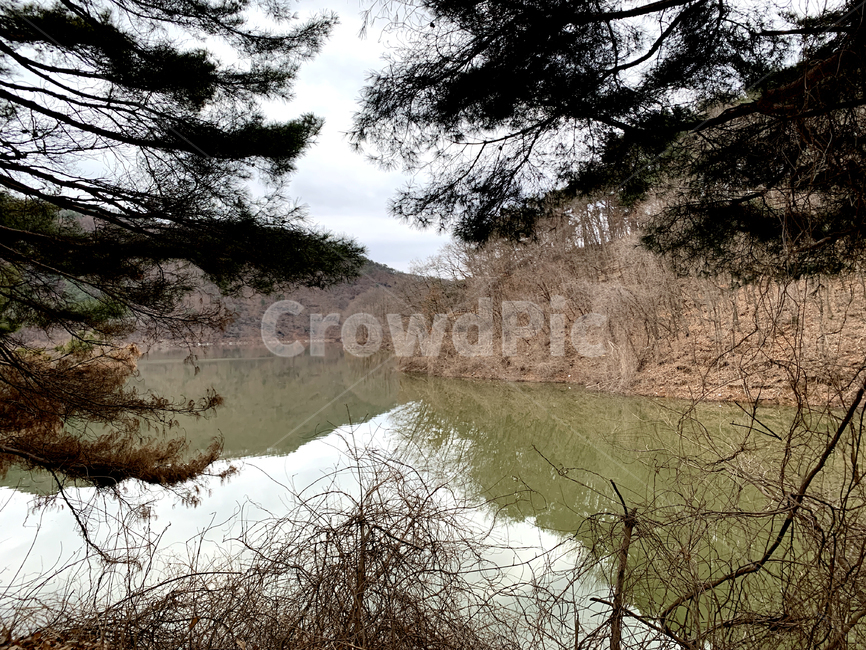 plant,식물,tree,나무,water,물,lake,호수,자연,풍경,nature,landscape