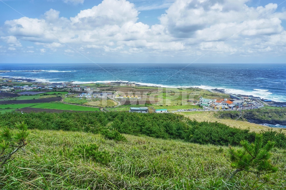 우도,바다,봄,풍경,자연,시골,마을,풍경,landscape,country,rural,town